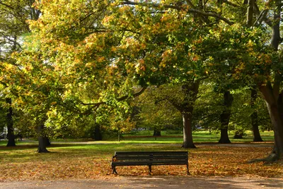 DSC_0457 (Large).JPG